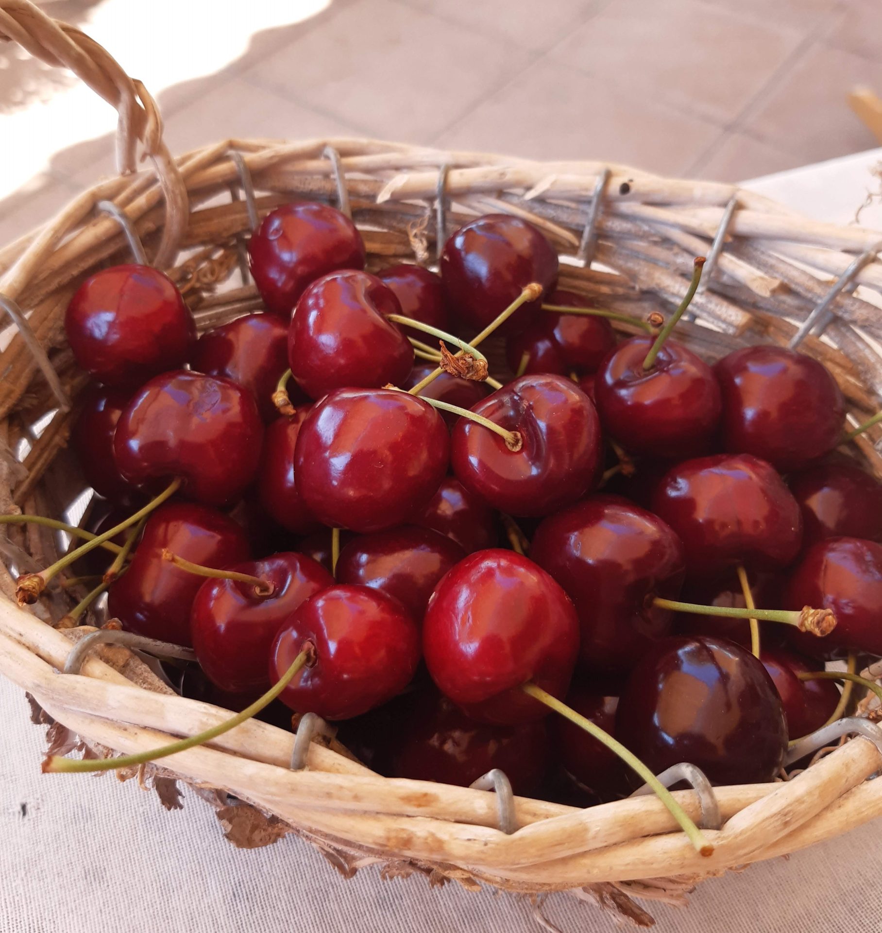 Salone del Gusto