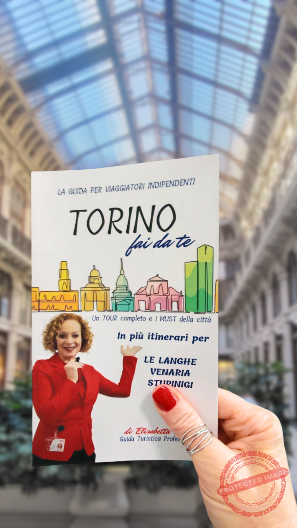 Guida-Torino-giro-città-a-piedi-del-centro-musei-aperitivo-ristoranti-venaria-stupinigi-langhe
