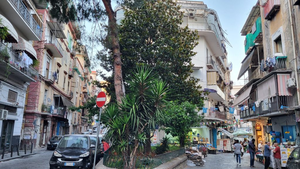 visiting Naples in may